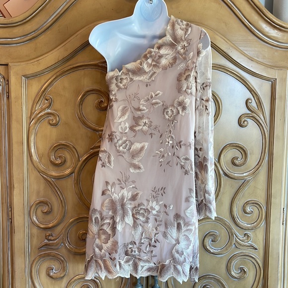 Gorgeous Free People lace shoulder dress - Picture 4 of 13